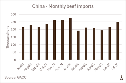 Image related to report content