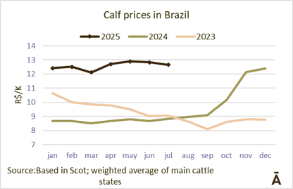 Image related to report content