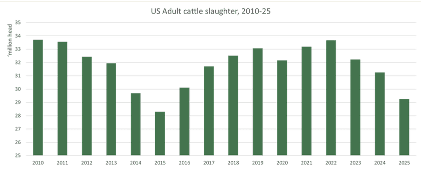 Image related to report content