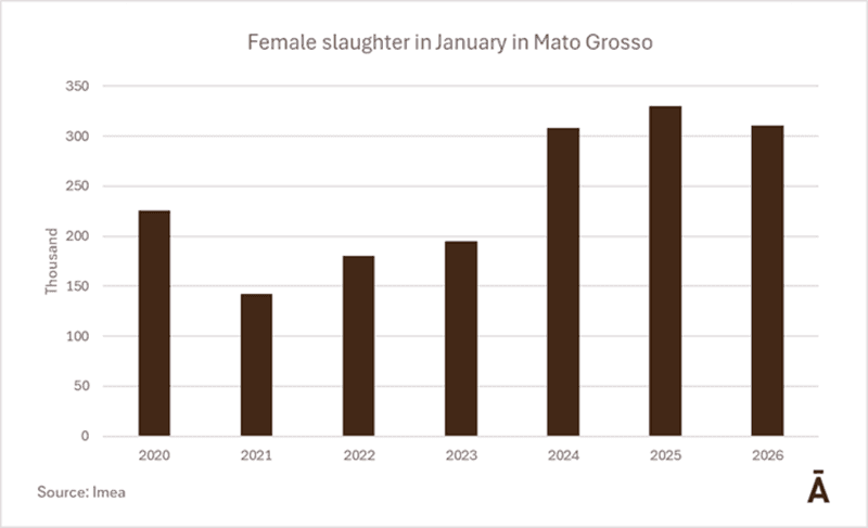 Image related to report content