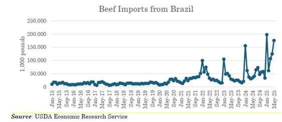 Image related to report content