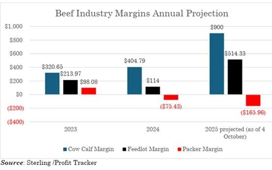 Image related to report content