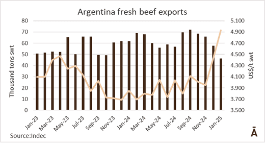 Image related to report content