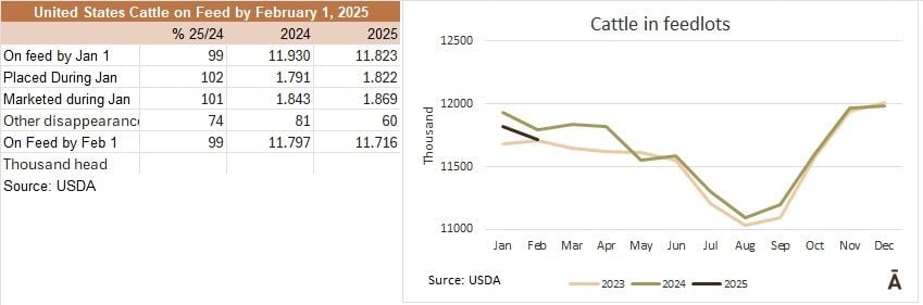 Image related to report content