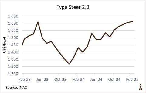 Image related to report content