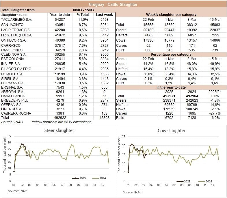 Image related to report content