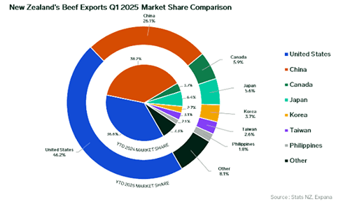 Image related to report content