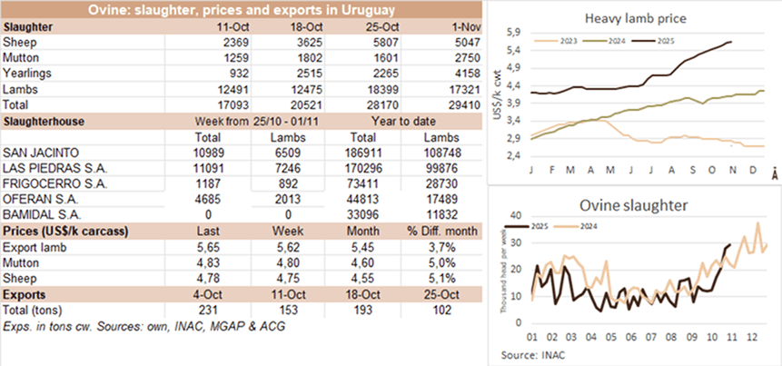 Image related to report content