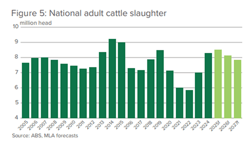 Image related to report content