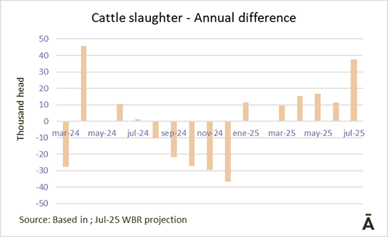 Image related to report content