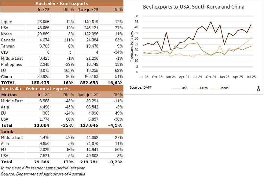 Image related to report content