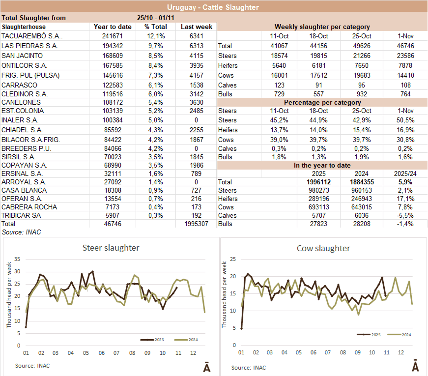Image related to report content