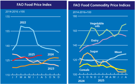 Image related to report content