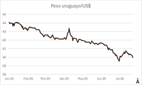 Image related to report content