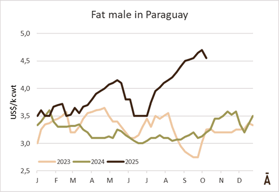 Image related to report content