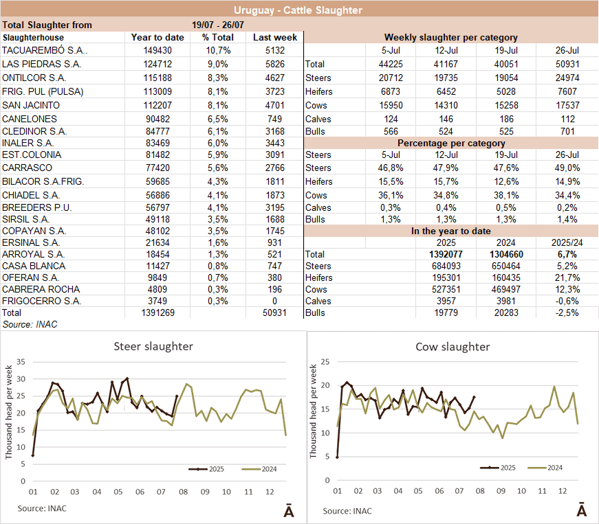 Image related to report content
