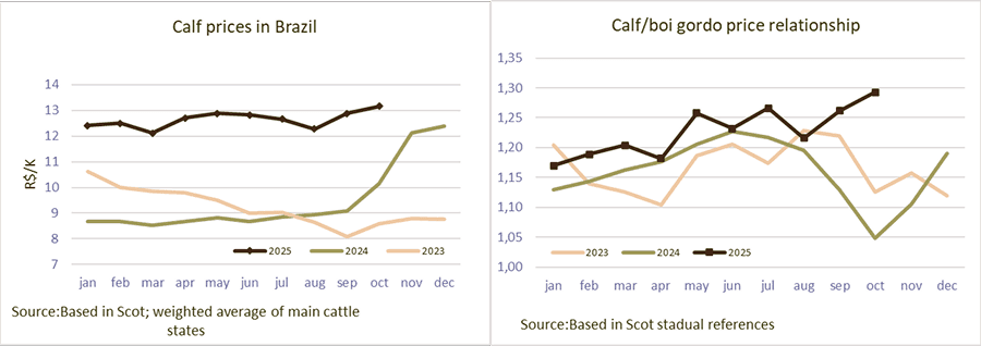 Image related to report content