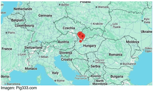 Image related to report content