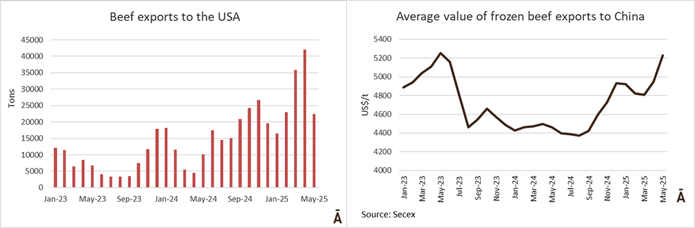 Image related to report content