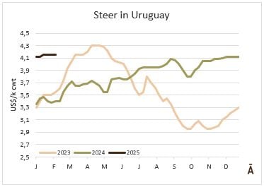 Image related to report content