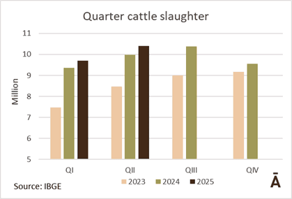 Image related to report content