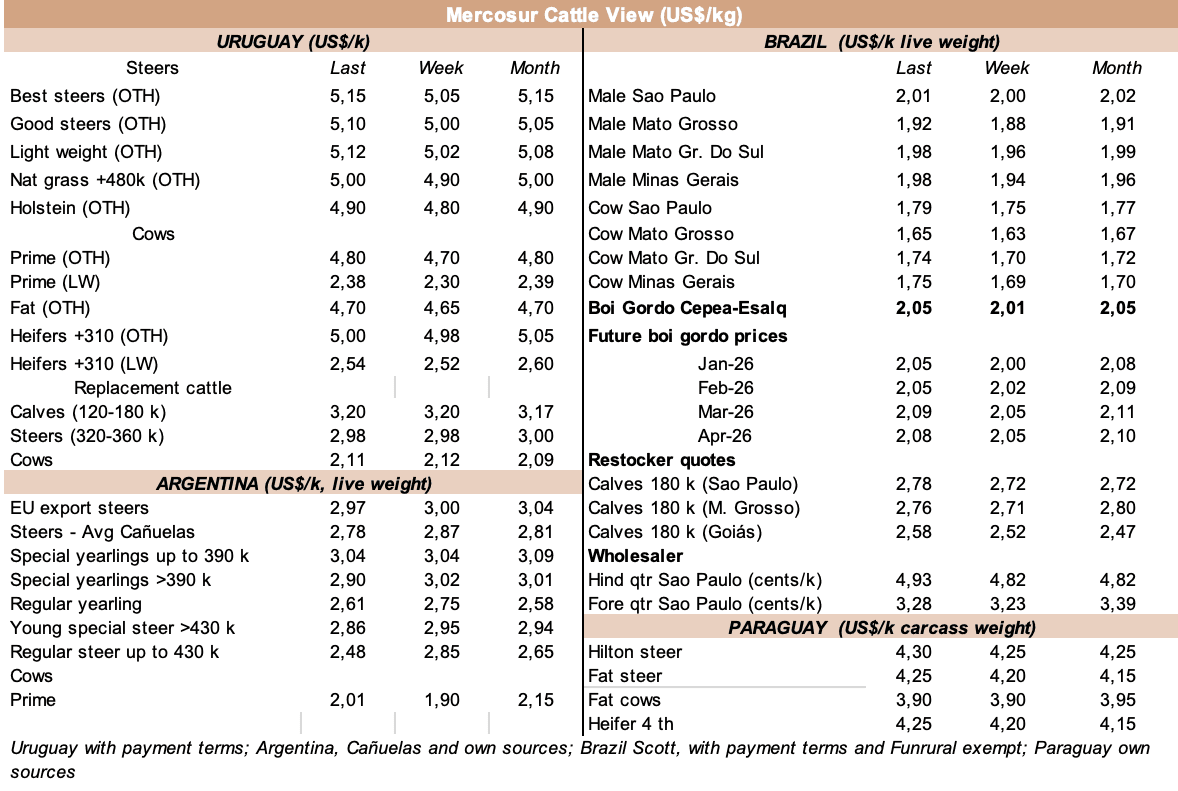 Image related to report content