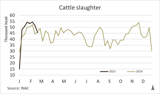 Image related to report content