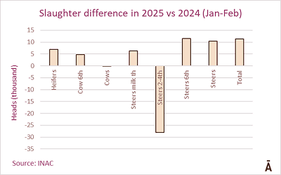 Image related to report content