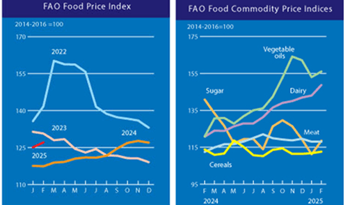 Image related to report content