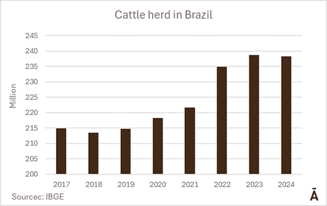 Image related to report content