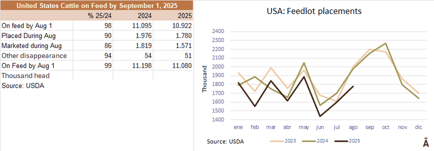 Image related to report content