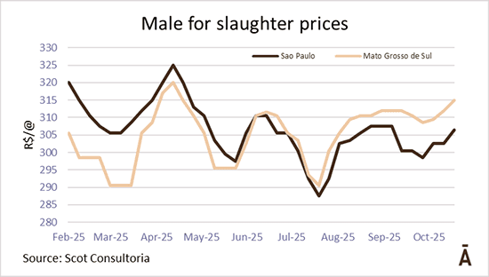 Image related to report content