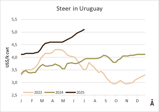 Image related to report content