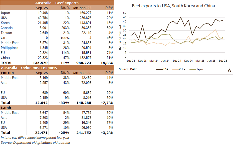 Image related to report content